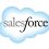 What Are The Key Areas Of Salesforce Data Management?