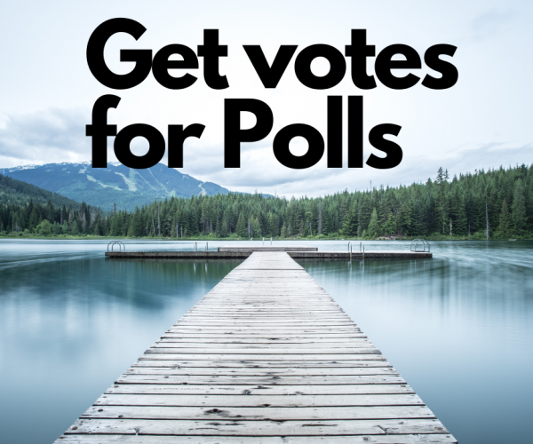 5 Ways To Get Votes For Online Polls